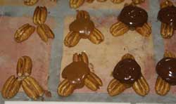 Turtles